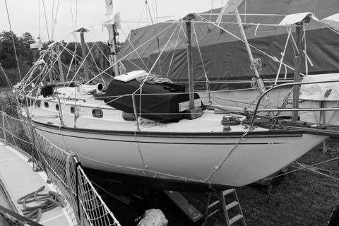 DSC01193