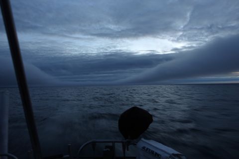 DSC00554